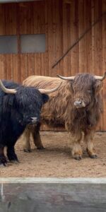 Wildpark Bad Mergentheim