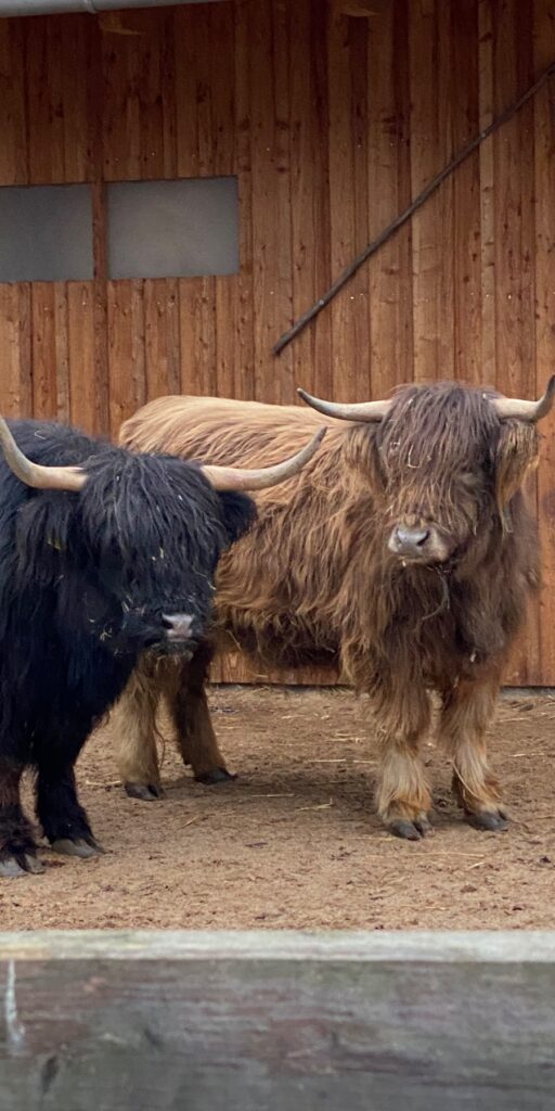 Wildpark Bad Mergentheim