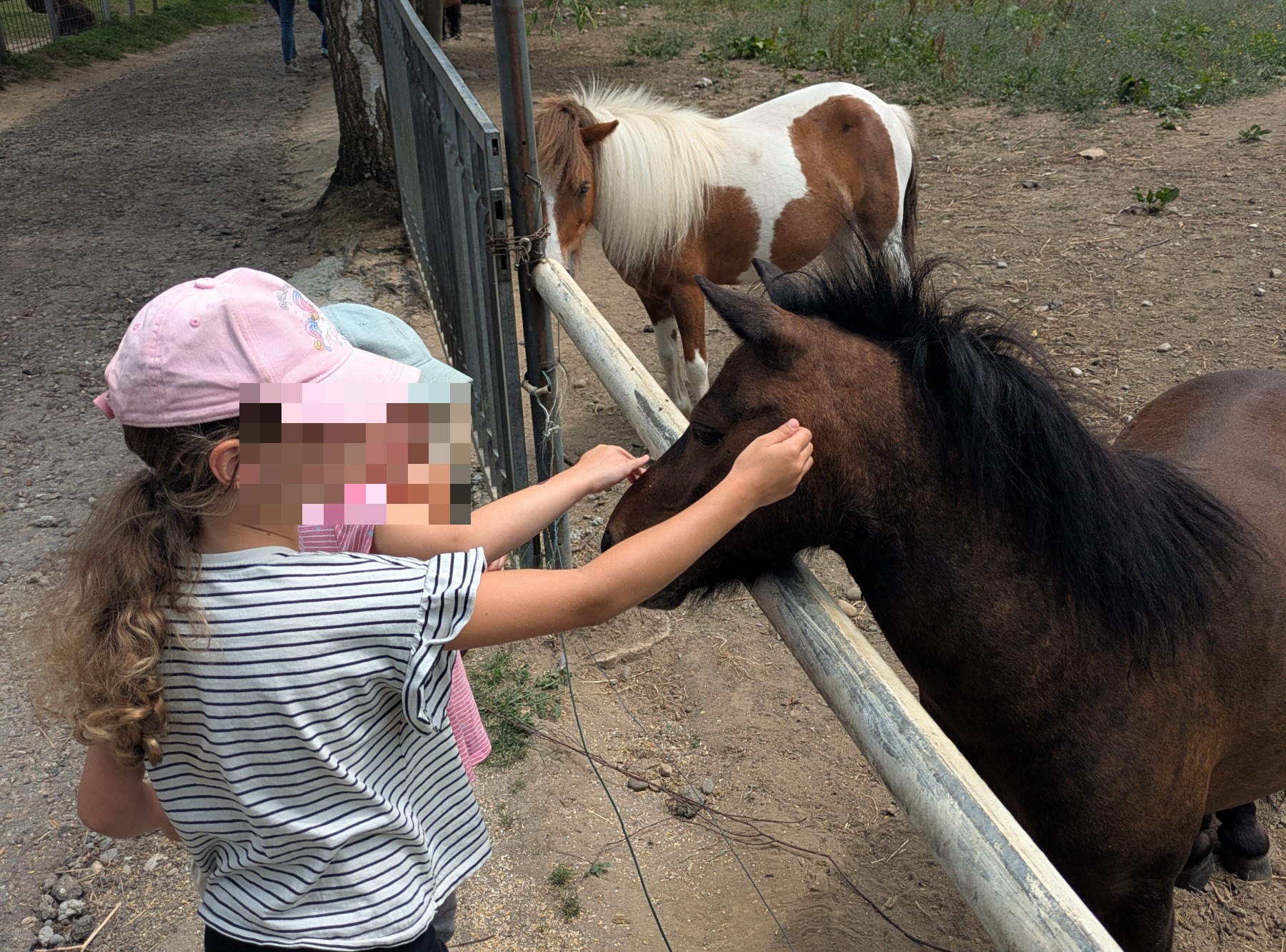 Wildpark Sonnenhalde in Neukirch-Wildpoltsweiler – Ausflug mit Kindern, Foto 2