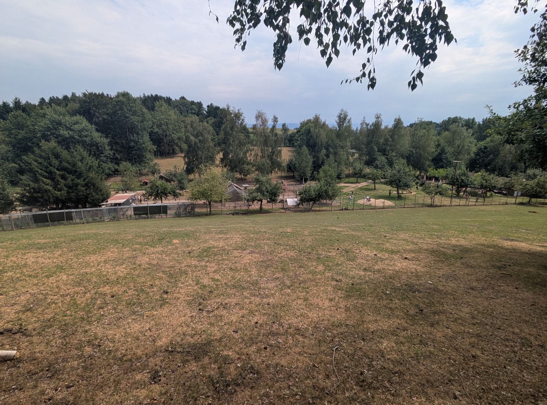 Wildpark Sonnenhalde in Neukirch-Wildpoltsweiler – Ausflug mit Kindern, Foto 3