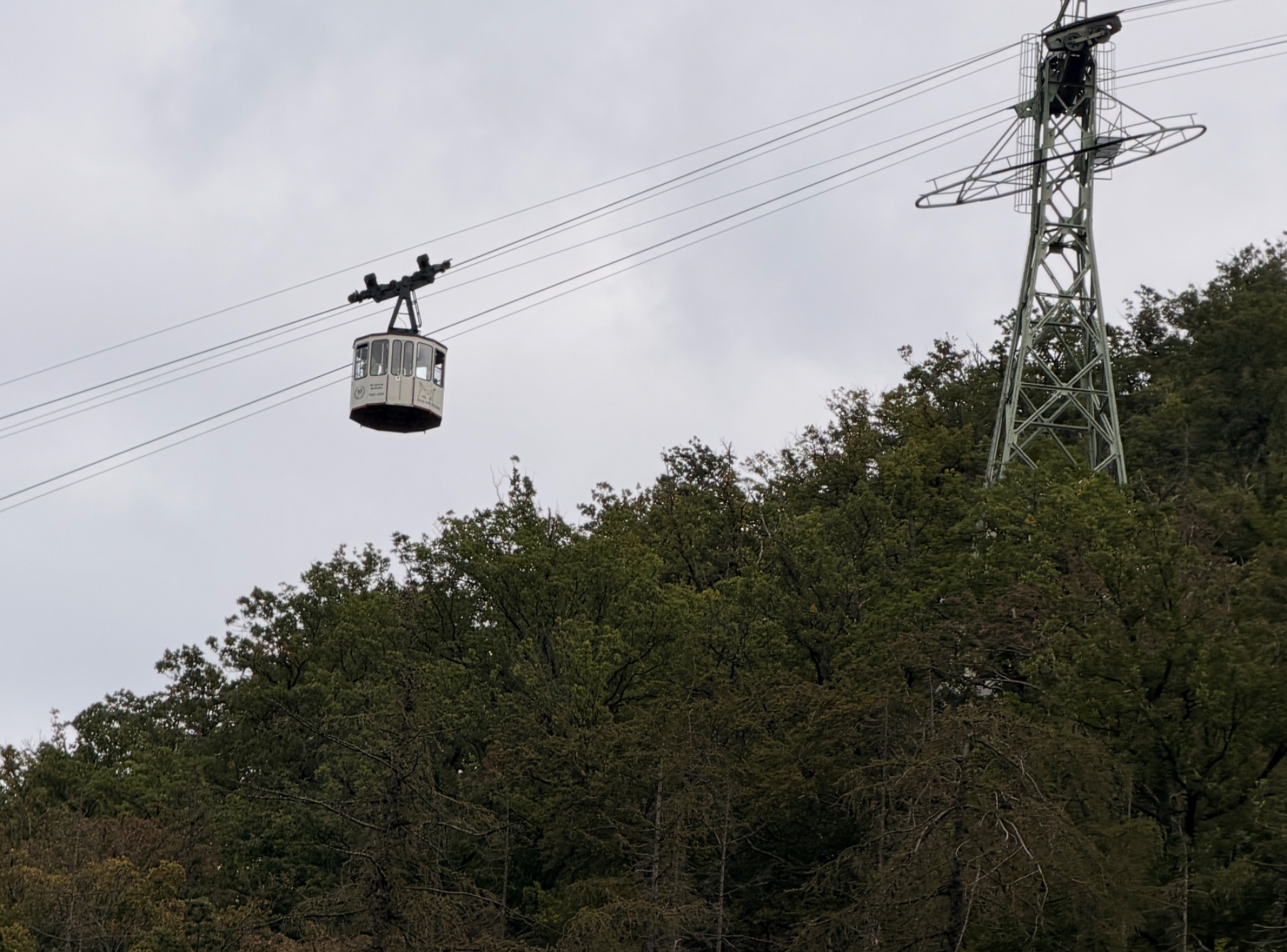 Burgberg-Seilbahn in Bad Harzburg – Ausflug mit Kindern, Foto 3