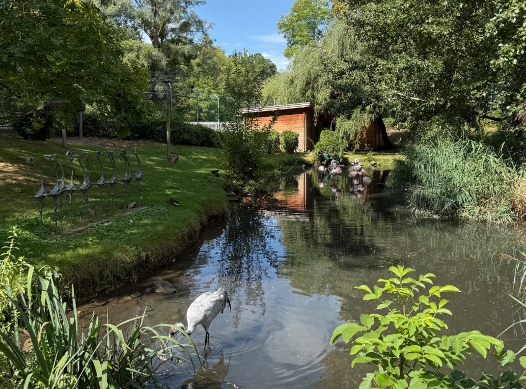 Aachener Zoo Euregiozoo – Ausflug mit Kindern, Foto 3