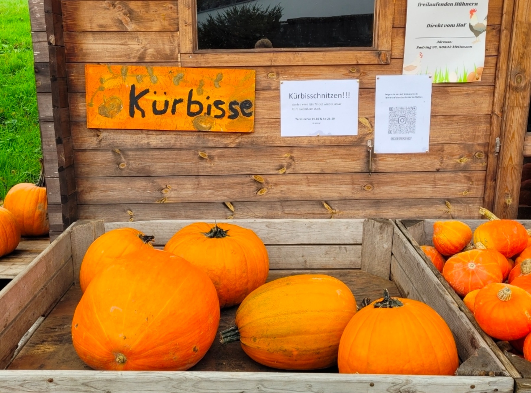 Kürbisschnitzen auf dem Dömershof in Mettmann – Ausflug mit Kindern, Foto 3