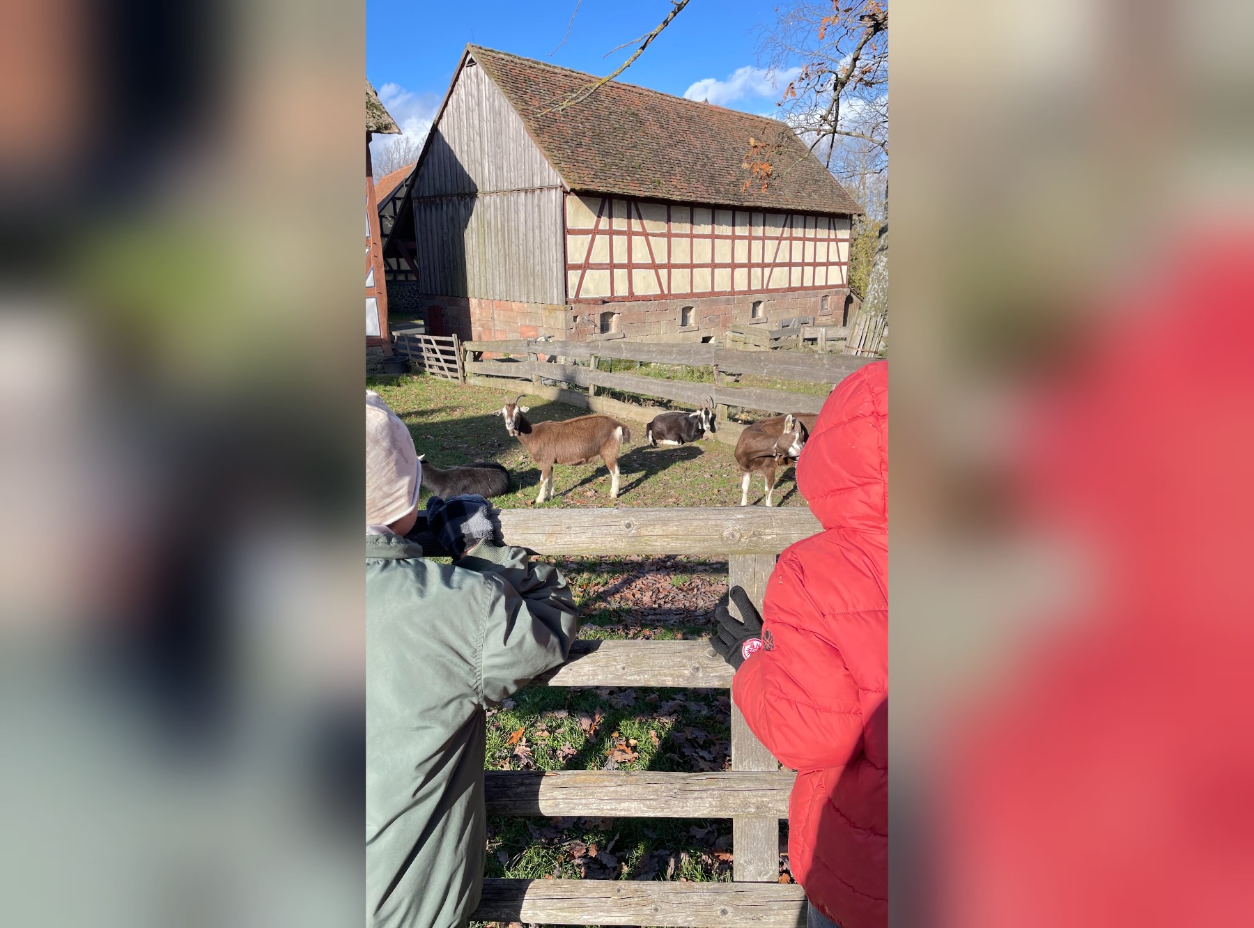 Freilichtmuseum Hessenpark in Neu-Anspach – Ausflug mit Kindern, Foto 3
