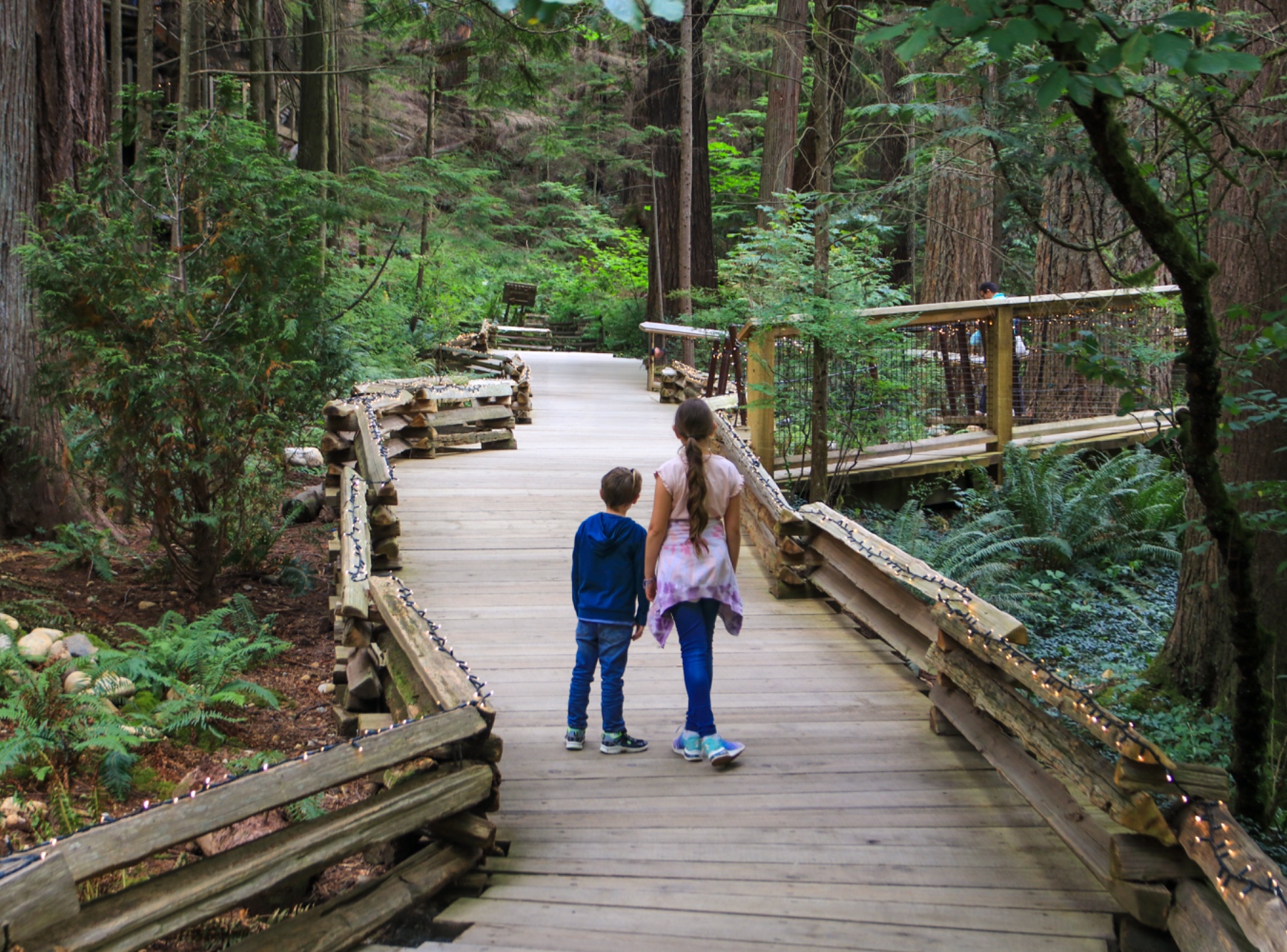 Capilano Suspension Bridge Park in North Vancouver – Ausflug mit Kindern, Foto 2