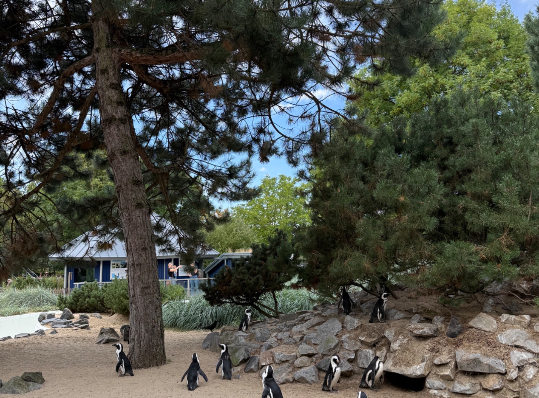 Aachener Zoo Euregiozoo – Ausflug mit Kindern, Foto 4