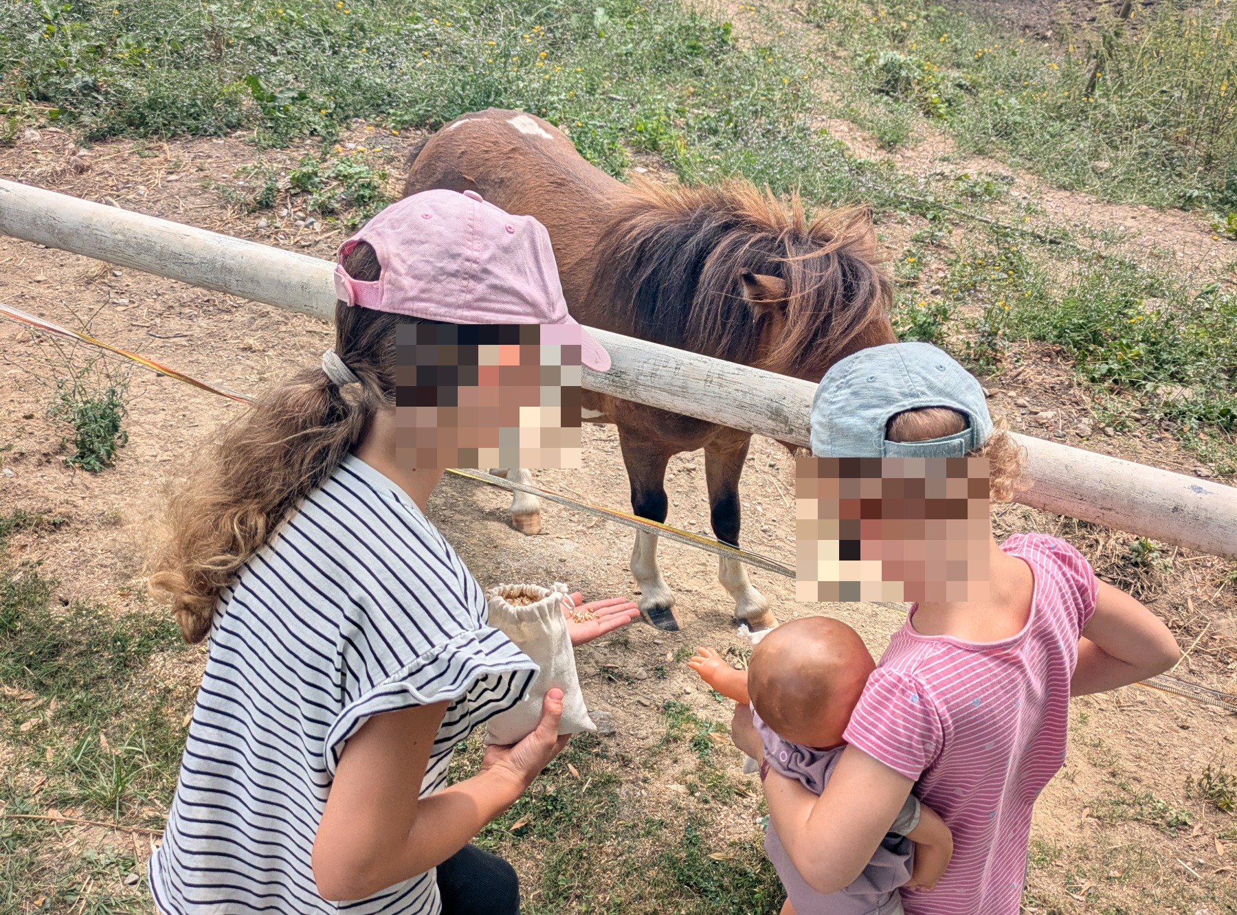 Wildpark Sonnenhalde in Neukirch-Wildpoltsweiler – Ausflug mit Kindern, Foto 4