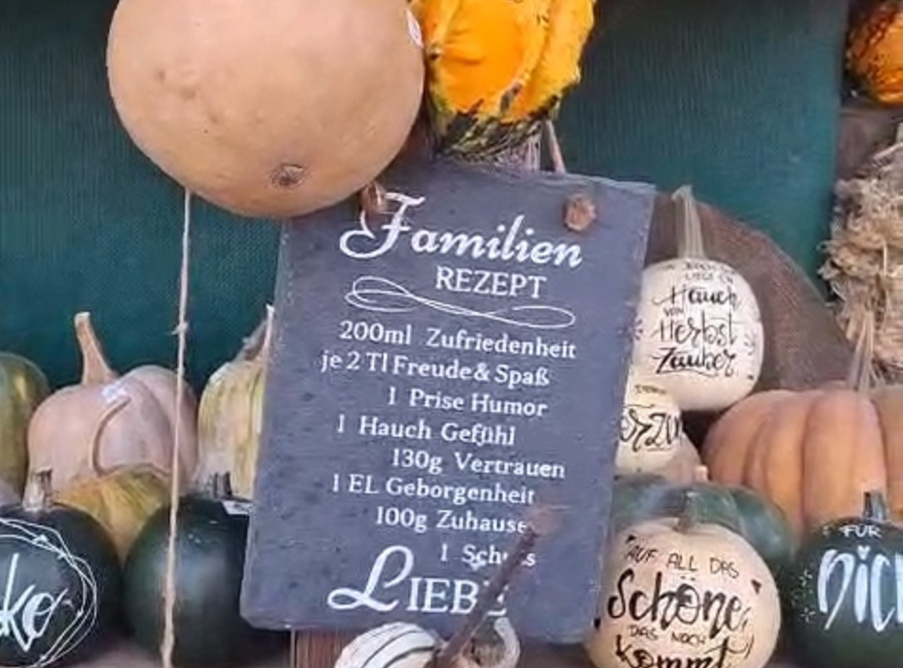 Kürbisparadies Spieler in Eberhardzell-Ampfelbronn – Ausflug mit Kindern, Foto 4
