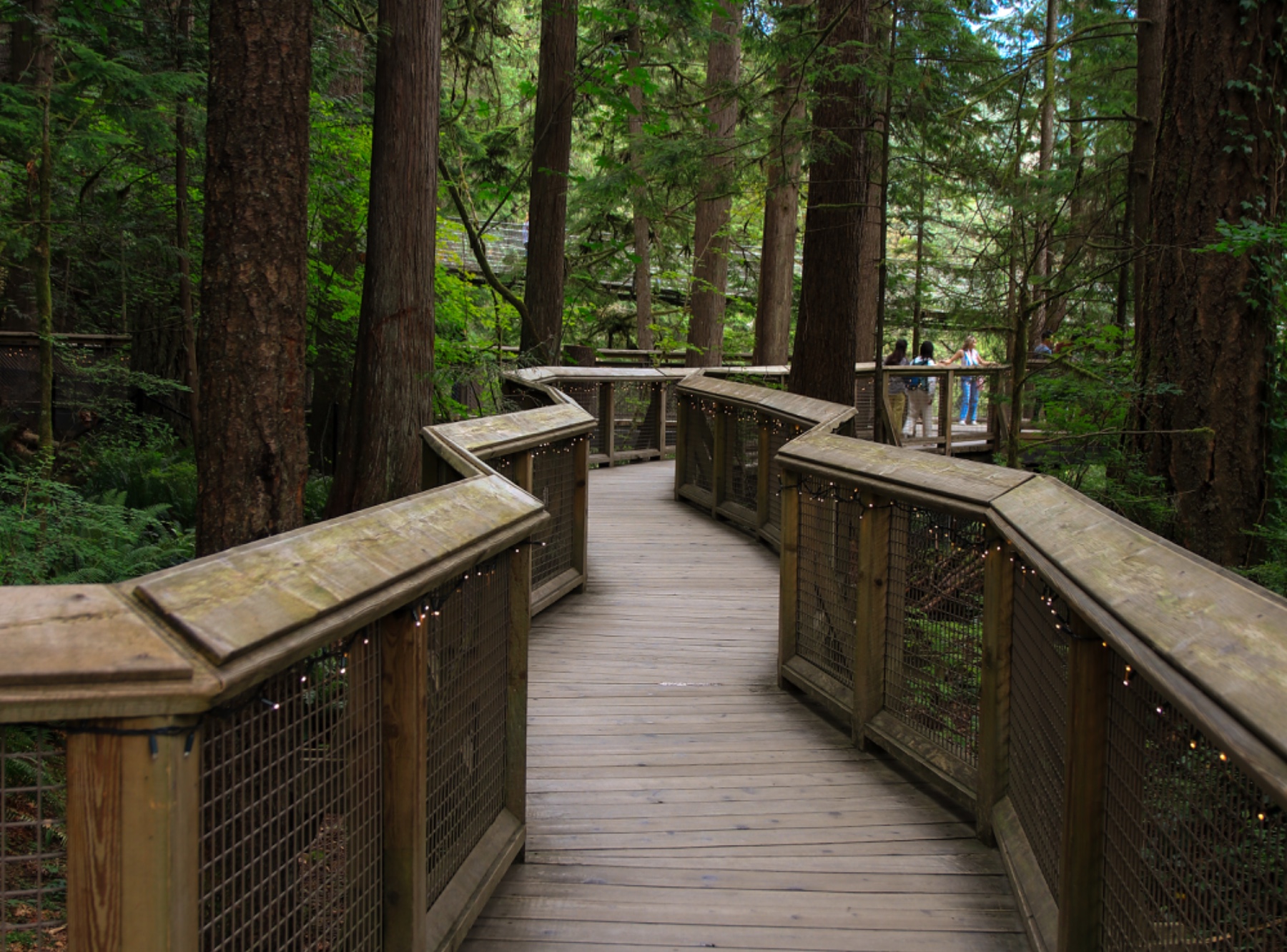 Capilano Suspension Bridge Park in North Vancouver – Ausflug mit Kindern, Foto 4