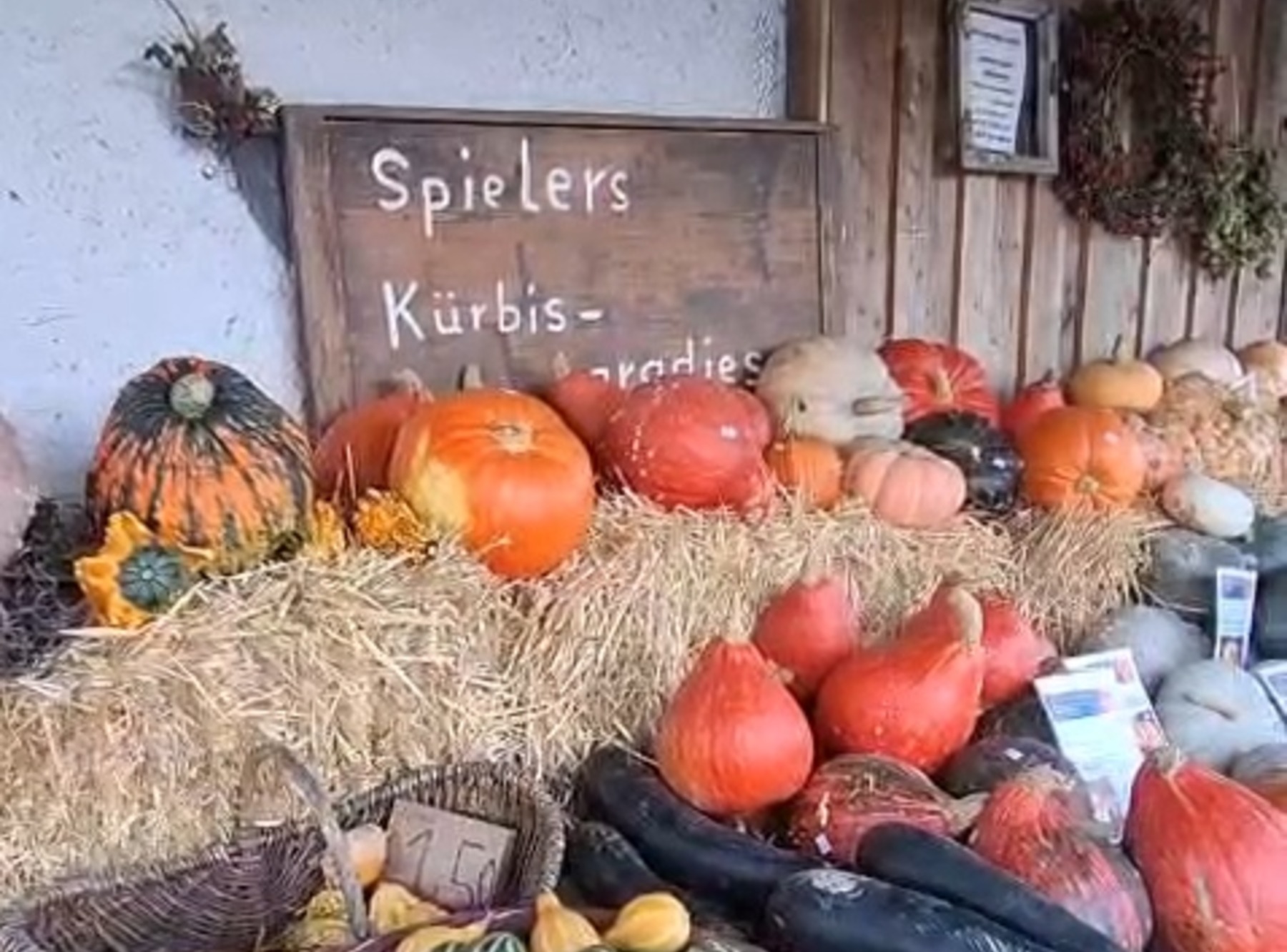 Kürbisparadies Spieler in Eberhardzell-Ampfelbronn – Ausflug mit Kindern, Foto 7