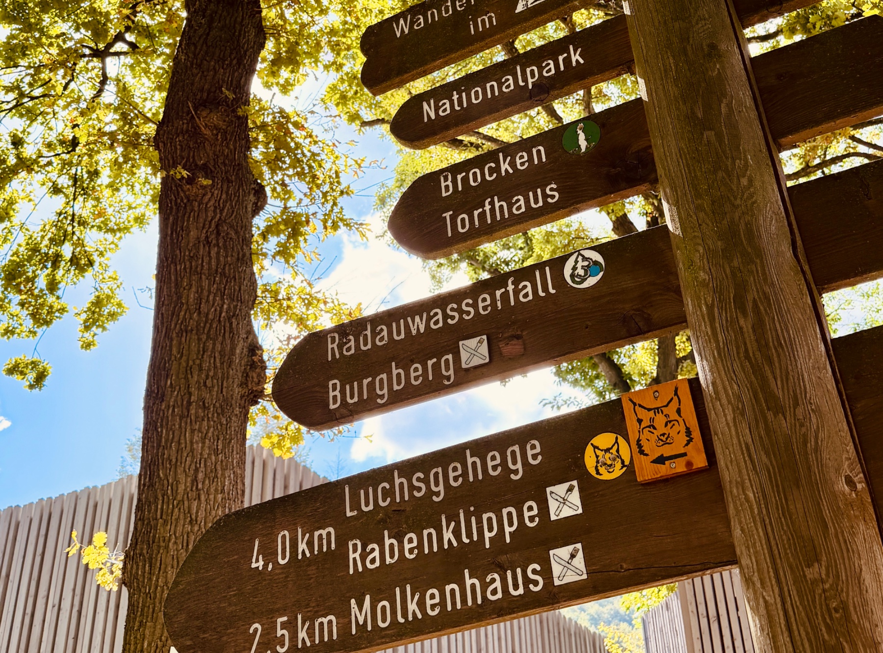 Burgberg-Seilbahn in Bad Harzburg – Ausflug mit Kindern, Foto 9