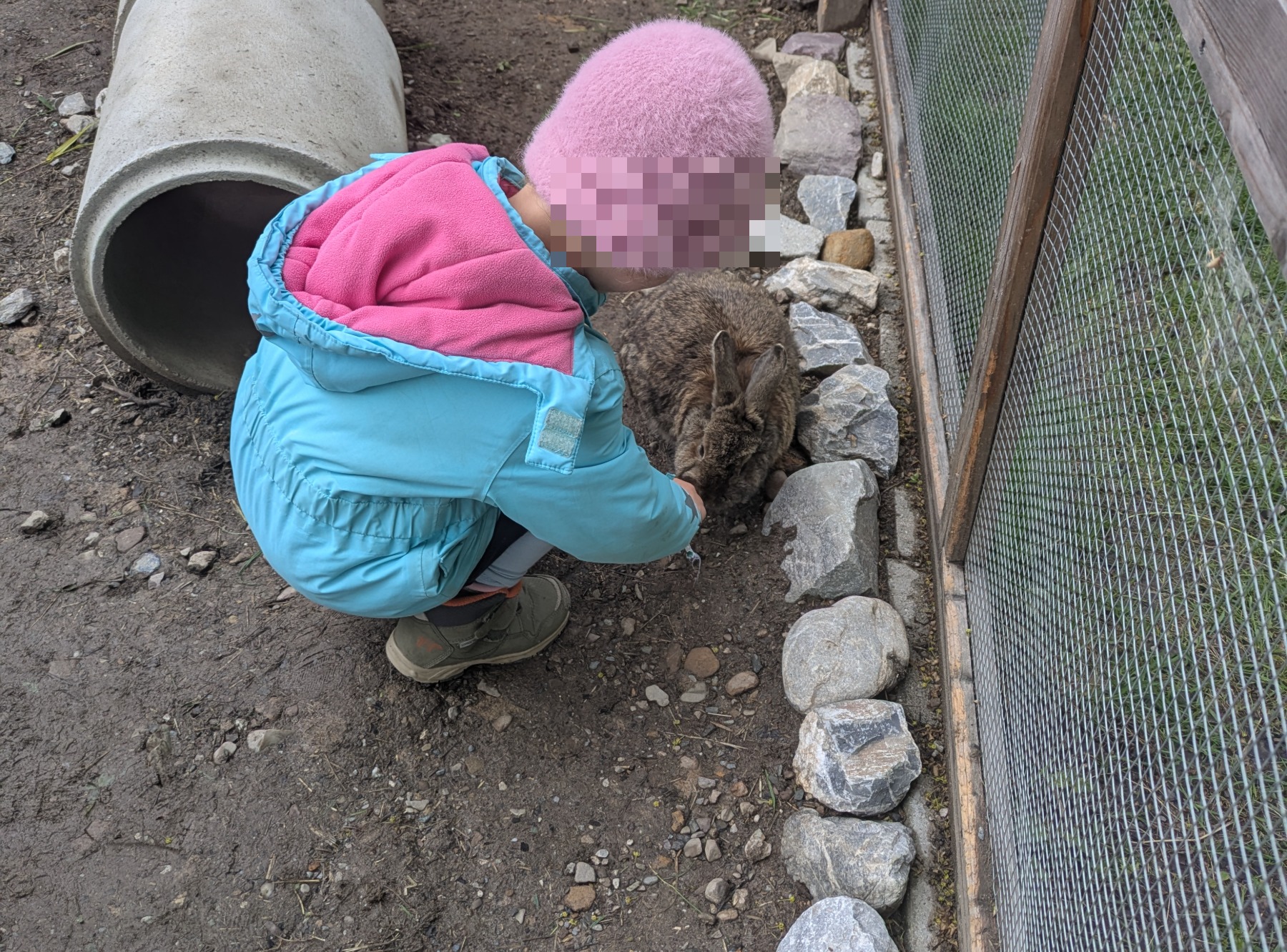 Gut Wenghof – Family Resort in Werfenweng – Ausflug mit Kindern, Foto 8