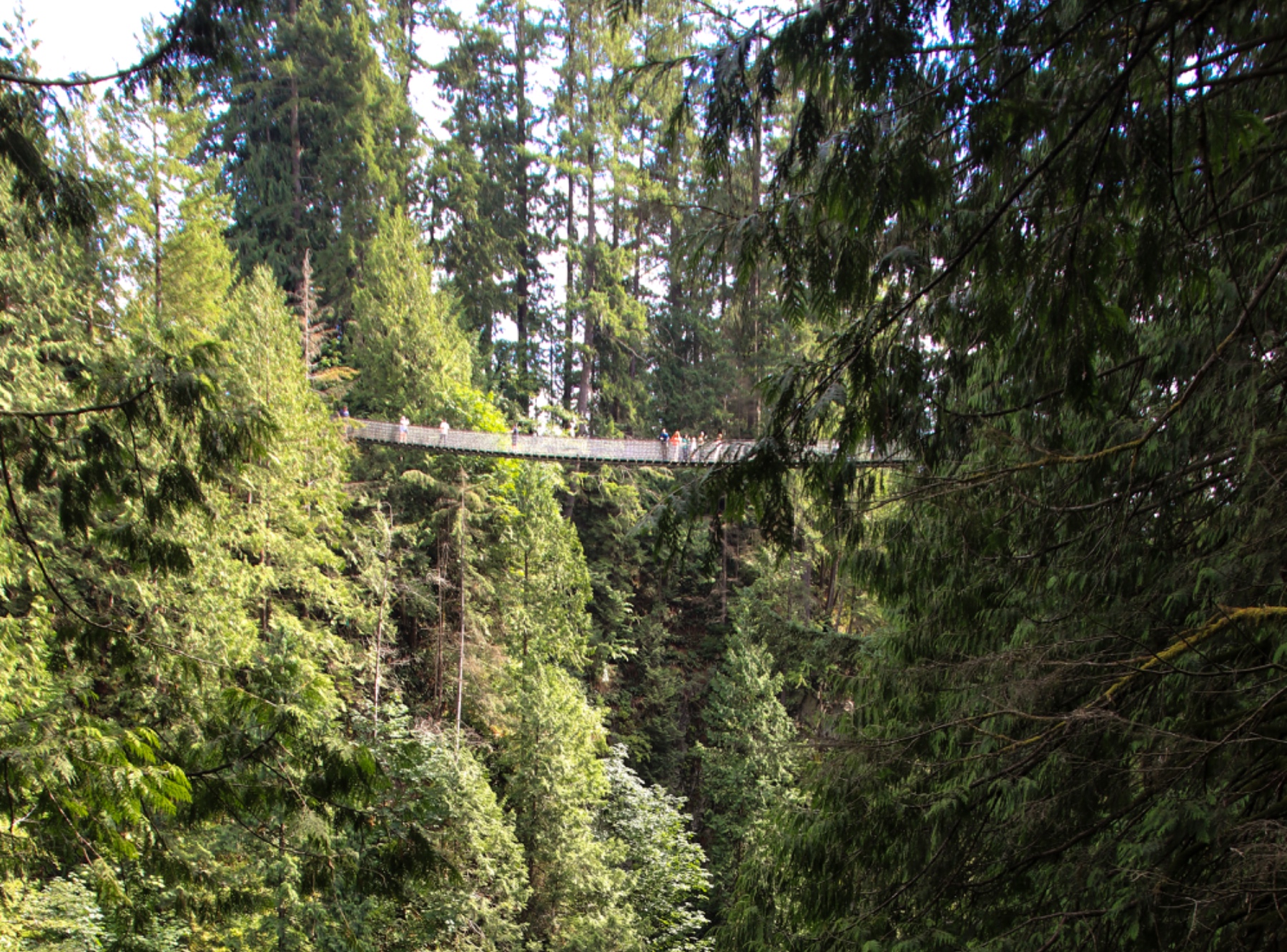 Capilano Suspension Bridge Park in North Vancouver – Ausflug mit Kindern, Foto 7
