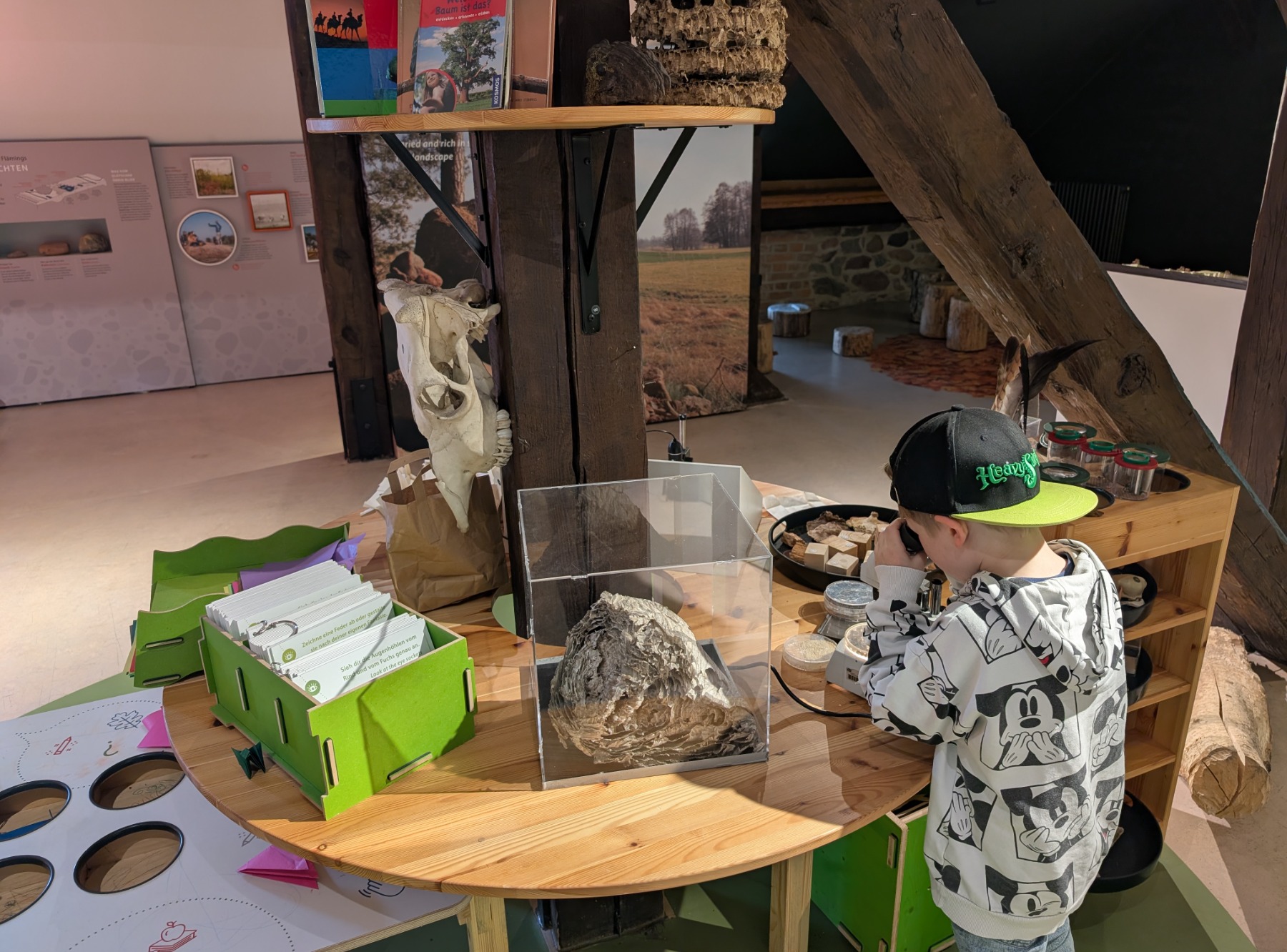 Naturparkzentrum Hoher Fläming in Rabenstein/Fläming – Ausflug mit Kindern, Foto 8
