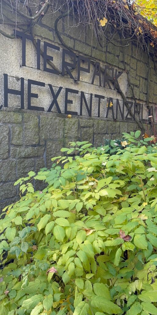Tierpark Hexentanzplatz in Thale