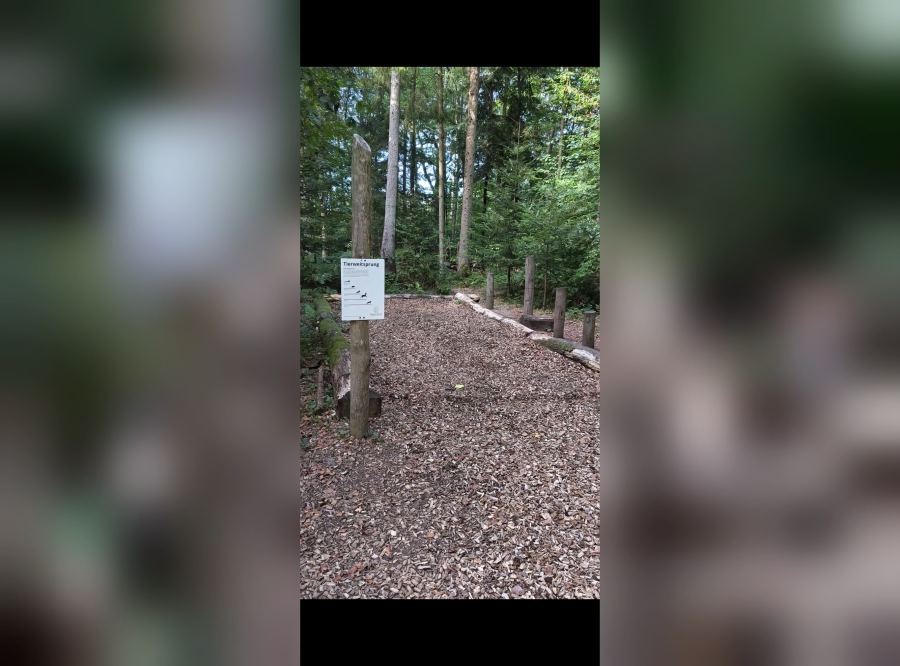 Walderlebnispfad Talwald in Kirchheim unter Teck – Ausflug mit Kindern, Foto 2