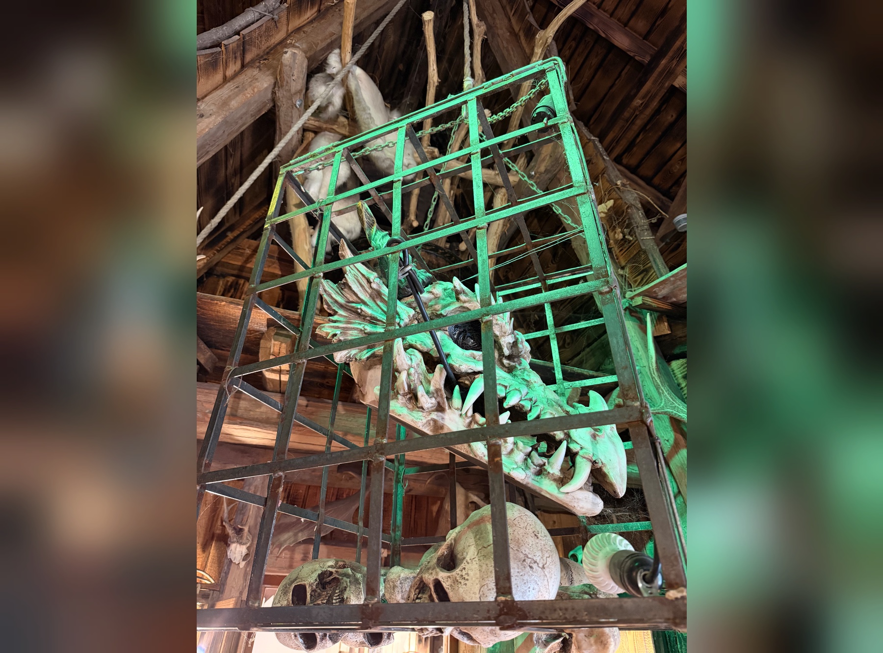 Erlebniswelt Flederwisch in Furth im Wald – Ausflug mit Kindern, Foto 2