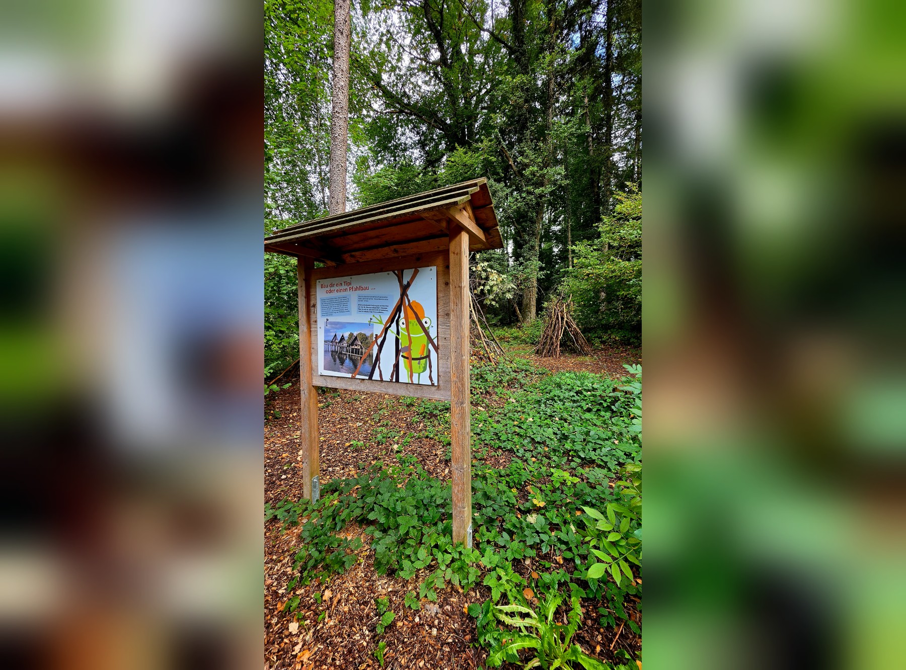 Steeger See Rundweg in Aulendorf – Ausflug mit Kindern, Foto 3