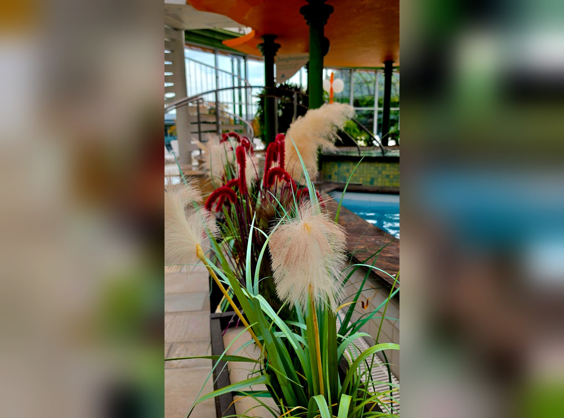 Schwaben-Therme in Aulendorf – Ausflug mit Kindern, Foto 5