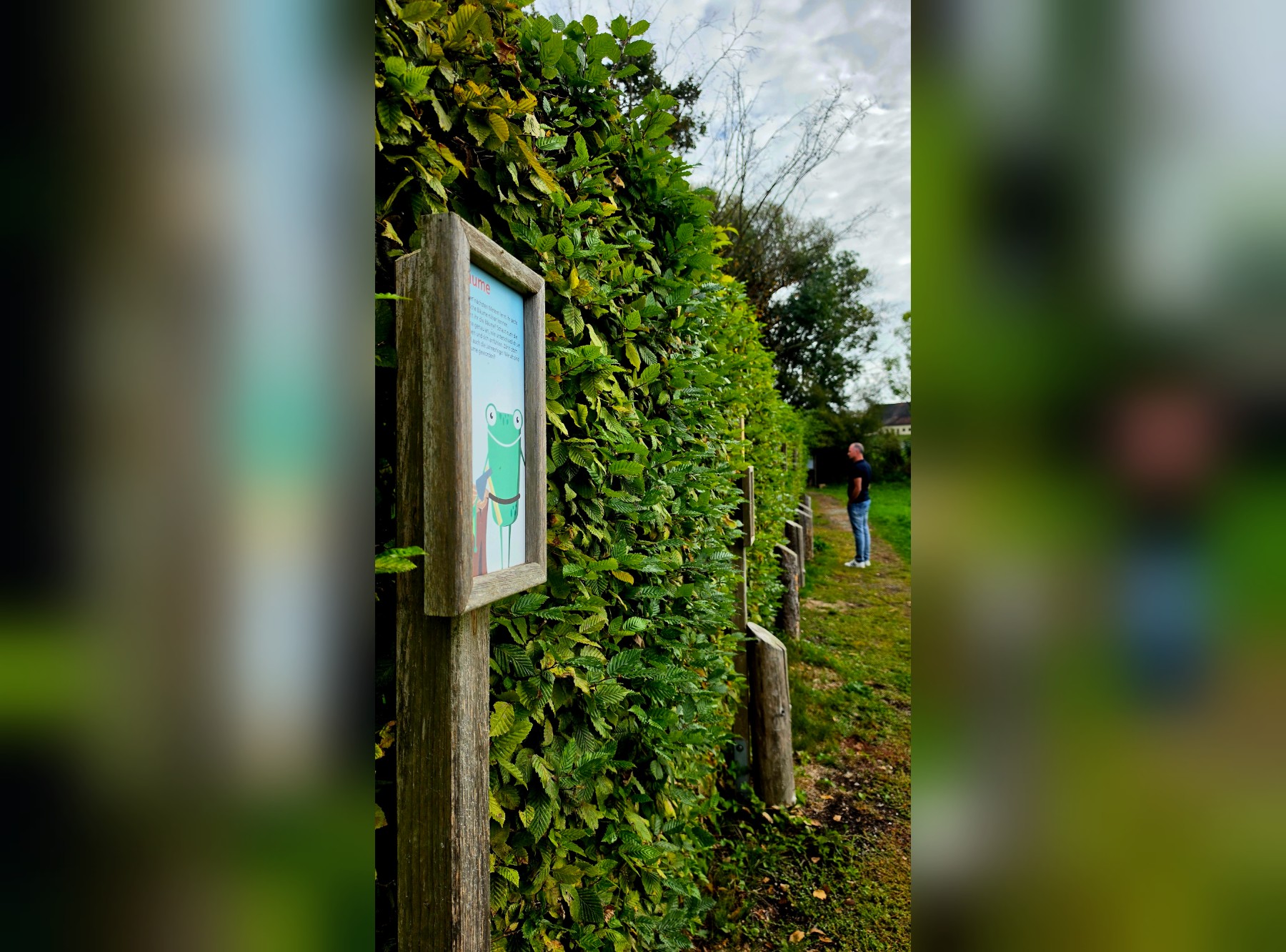 Steeger See Rundweg in Aulendorf – Ausflug mit Kindern, Foto 5