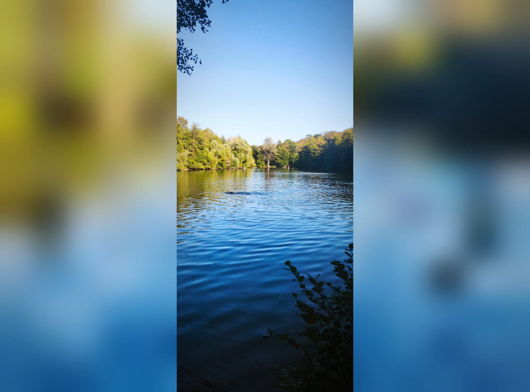 Walderlebnispfad Talwald in Kirchheim unter Teck – Ausflug mit Kindern, Foto 6