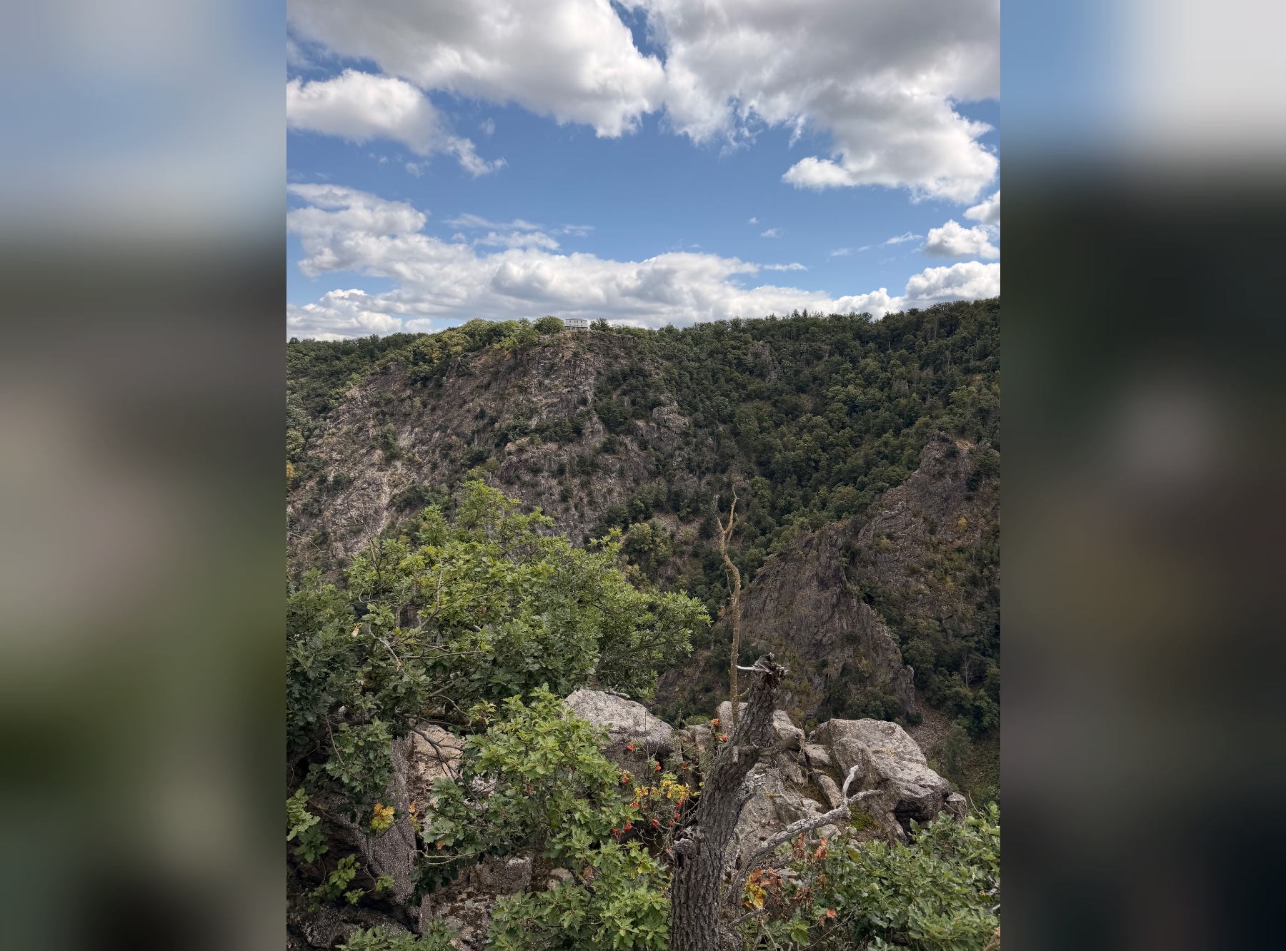 Roßtrappe und Aussichtsplattform HWN 71 in Thale – Ausflug mit Kindern, Foto 6