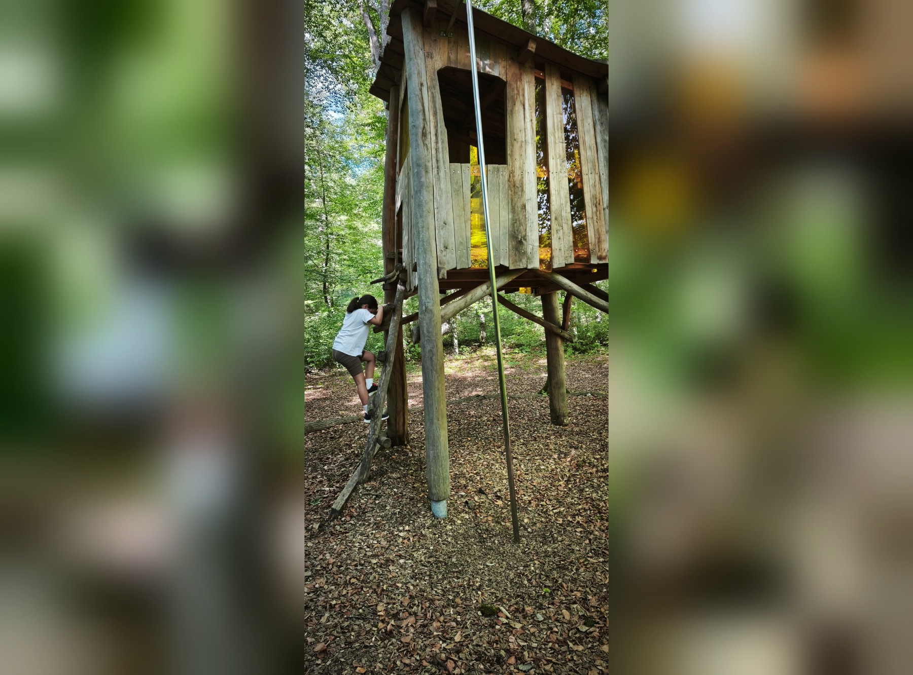 Walderlebnispfad Talwald in Kirchheim unter Teck – Ausflug mit Kindern, Foto 7