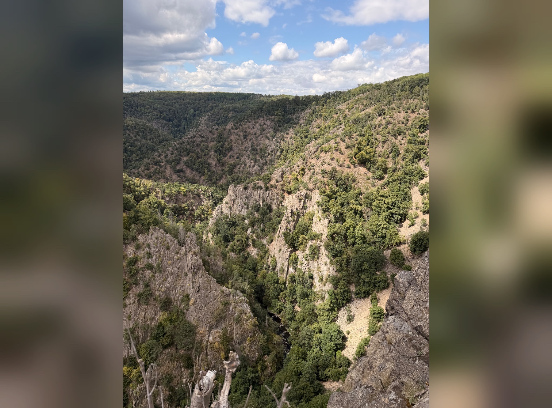 Roßtrappe und Aussichtsplattform HWN 71 in Thale – Ausflug mit Kindern, Foto 7