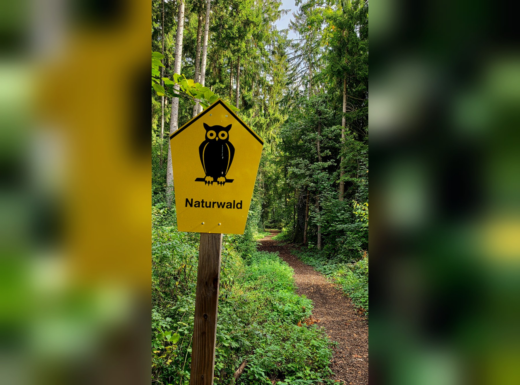 Steeger See Rundweg in Aulendorf – Ausflug mit Kindern, Foto 8