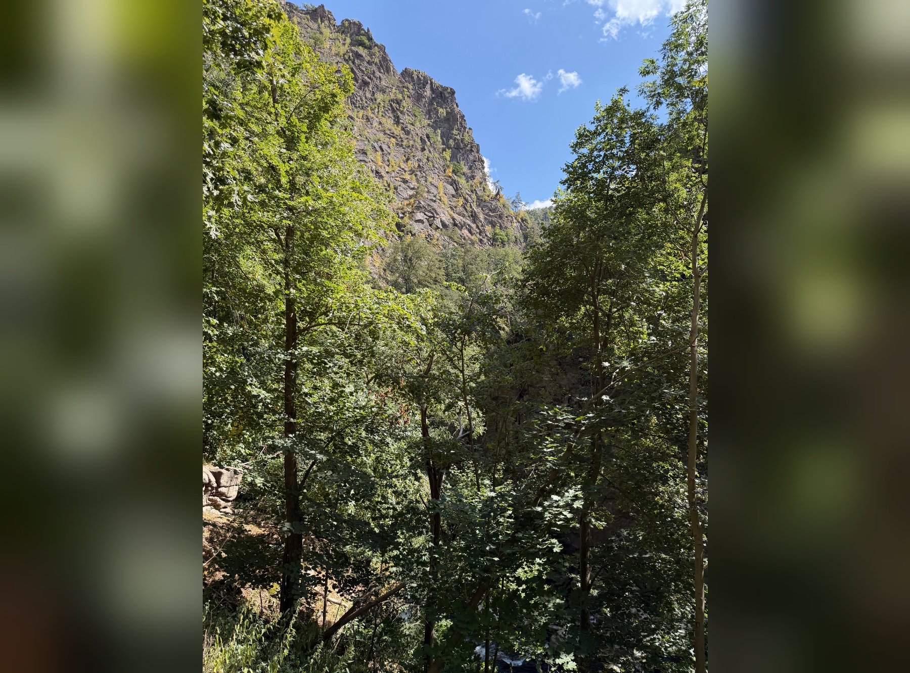 Roßtrappe und Aussichtsplattform HWN 71 in Thale – Ausflug mit Kindern, Foto 9