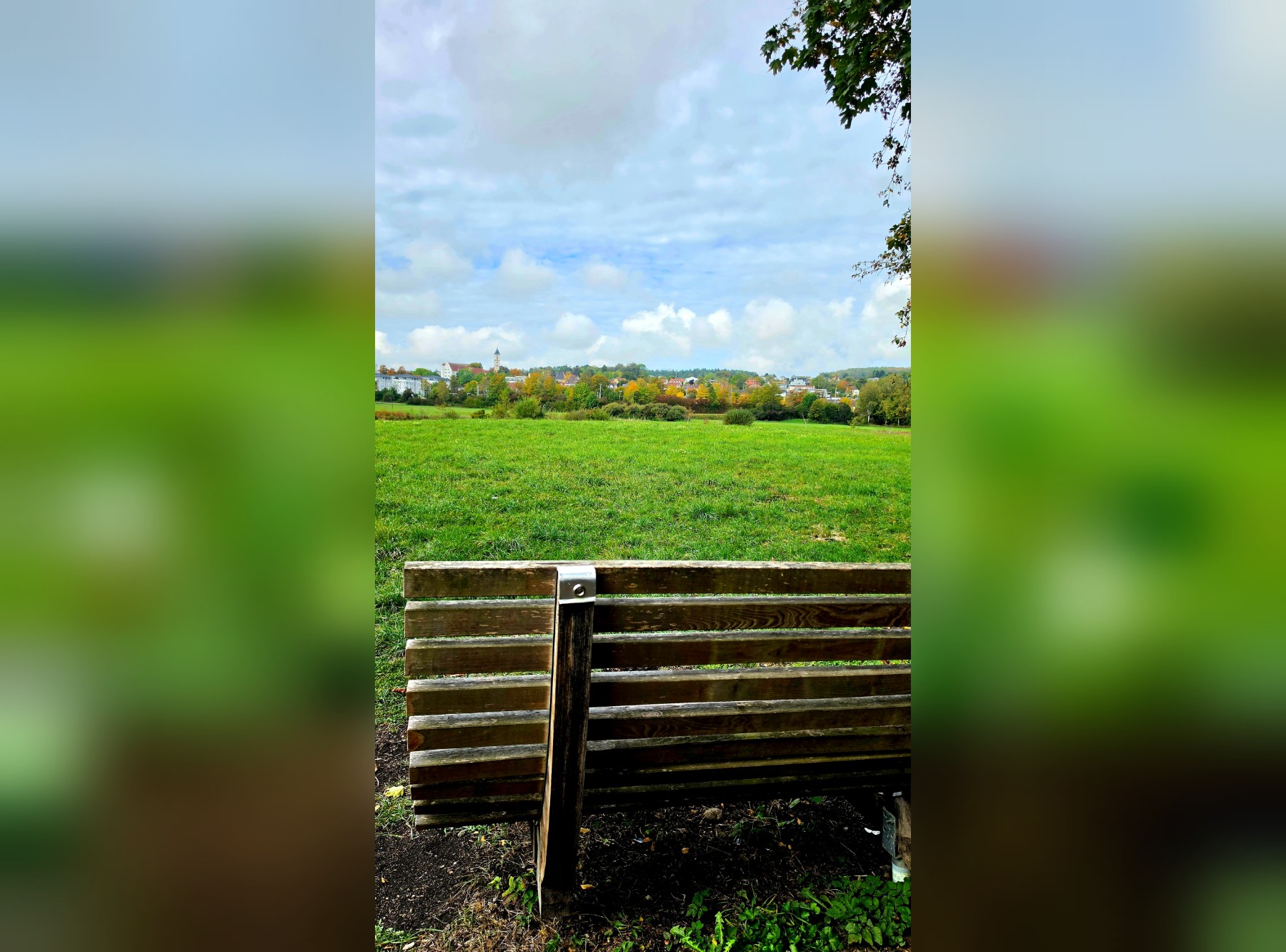 Steeger See Rundweg in Aulendorf – Ausflug mit Kindern, Foto 9